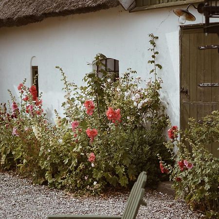 Bed and Breakfast Axatorpsgarden Треллеборг Екстер'єр фото