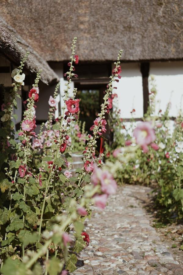 Bed and Breakfast Axatorpsgarden Треллеборг Екстер'єр фото