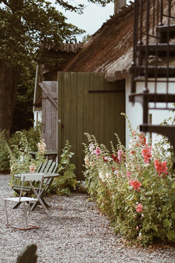 Bed and Breakfast Axatorpsgarden Треллеборг Екстер'єр фото