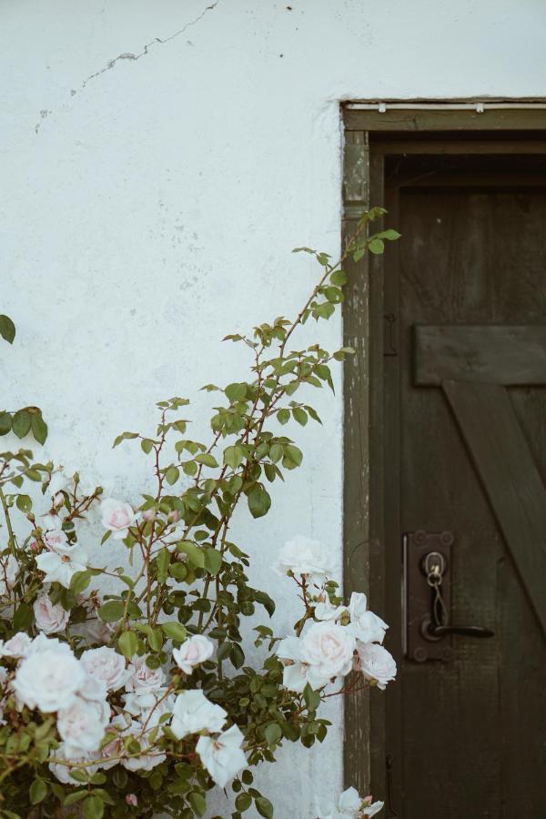 Bed and Breakfast Axatorpsgarden Треллеборг Екстер'єр фото