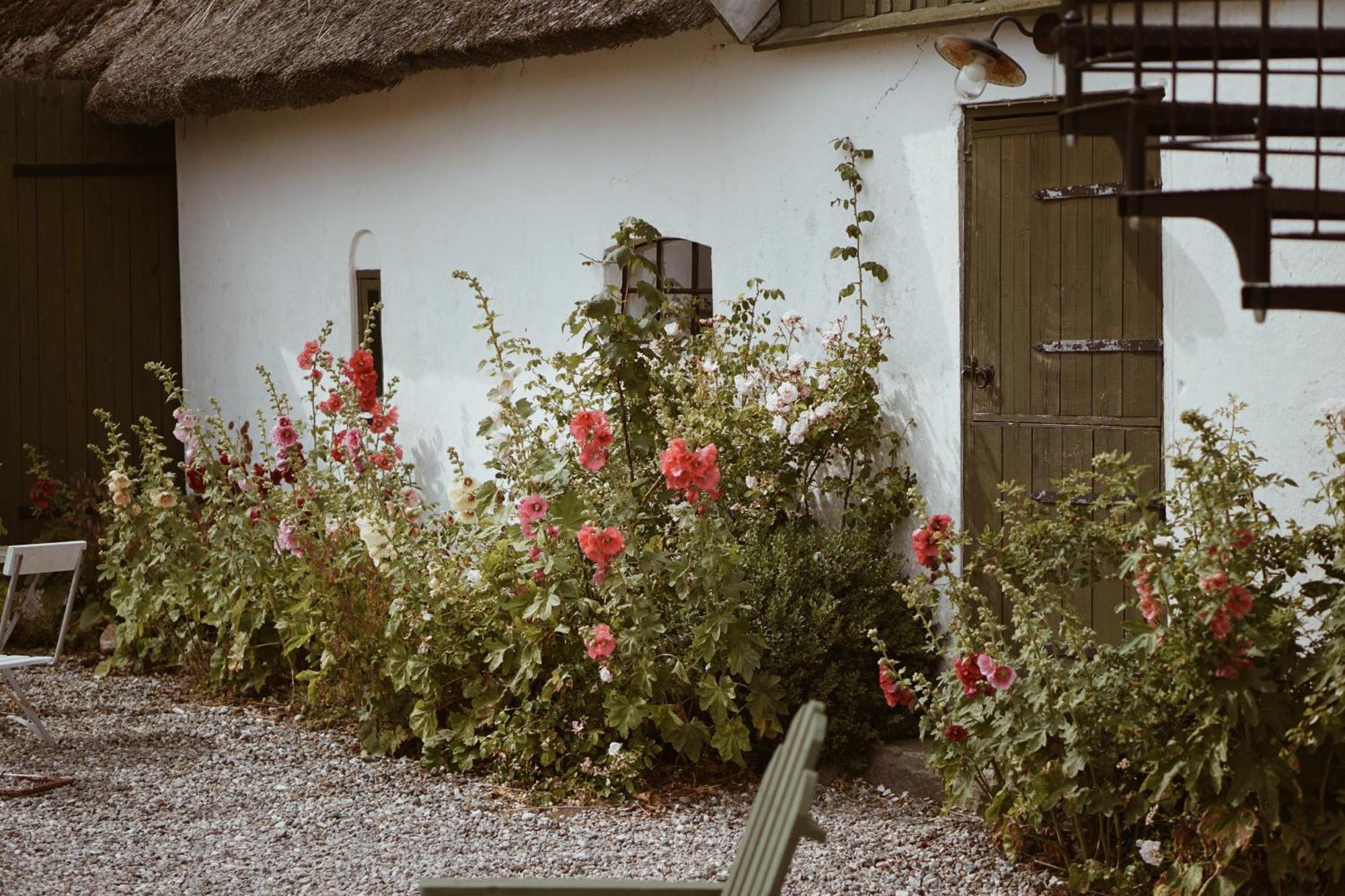 Bed and Breakfast Axatorpsgarden Треллеборг Екстер'єр фото